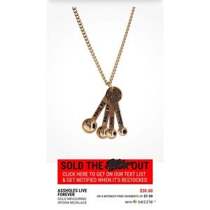 ALF Measuring Spoon Necklace